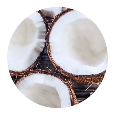 coconut