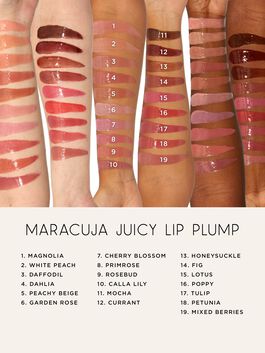 pout perfectors bundle image number null